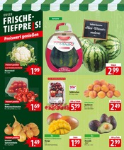 Mango im famila Nordost Prospekt in Neustadt Aktueller famila Nordost Prospekt mit Mango, "besser als gut!", Seite 4