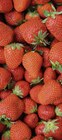 FRAISE VARIÉTÉ GARIGUETTE à Petit Casino dans Vaulx-en-Velin FRAISE VARIÉTÉ GARIGUETTE à Petit Casino dans Vaulx-en-Velin