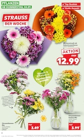 Blumen im Kaufland Prospekt in Darmstadt Aktueller Kaufland Prospekt mit Blumen, "Aktuelle Angebote", Seite 4