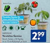 Veredeltes Gemüse Aubergine von Gardenline im aktuellen ALDI SÜD Prospekt für 2,99 €