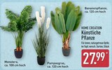 Künstliche Pflanze Monstera Angebote von Home Creation bei ALDI Nord Thale für 27,99 €