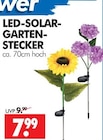 Aktuelle LED-Lampe Angebote bei Wreesmann in Dresden Aktuelles LED-SOLAR-GARTEN-STECKER Angebot bei Wreesmann in Dresden ab 7,99 €