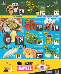 EDEKA Champignons im Prospekt 