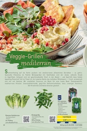 Aktueller METRO Prospekt mit Salat, "Outdoor Dining Katalog", Seite 10