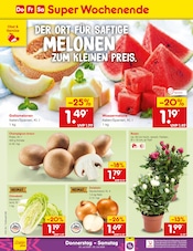 Kohle im Netto Marken-Discount Prospekt in Neuss Aktueller Netto Marken-Discount Prospekt mit Kohle, "Aktuelle Angebote", Seite 62