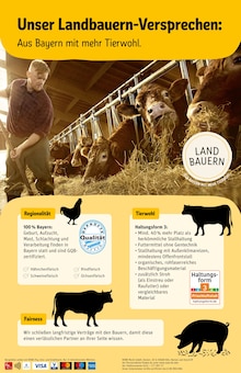 Aktueller REWE Gräfenberg Prospekt "Dein Markt" mit 34 Seiten