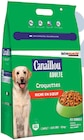 Croquettes pour chien adulte riche en boeuf - CANAILLOU - Intermarché Express à Tours Croquettes pour chien adulte riche en boeuf - CANAILLOU en promo chez Intermarché Express Tours à 10,00 €