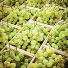 Promo Raisin blanc à 1,69 € dans le catalogue Netto à Avensan