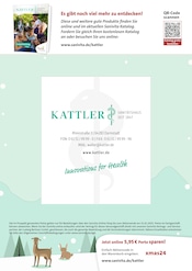 Aktueller Sanitätshaus Kattler GmbH & Co.KG Prospekt mit Bier, "Schenken Sie Gesundheit!", Seite 6