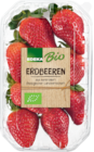 Erdbeeren Angebote von EDEKA Bio bei EDEKA Buchholz für 2,99 €