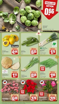 Zimmerpflanzen im REWE Prospekt "Dein Markt" mit 20 Seiten (Mannheim)