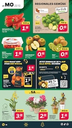 Tomaten im Netto mit dem Scottie Prospekt Günstig. Besser. Für Dich. auf S. 2