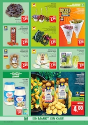 Aktueller Marktkauf Prospekt mit Blumen, "AUSWAHL RIESIG, PREISE NIEDRIG", Seite 9