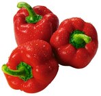 Rote Bio Paprika Angebote von REWE Bio bei REWE Suhl für 1,99 €