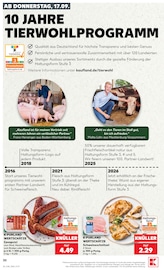 Hackfleisch im Kaufland Prospekt in Dresden Aktueller Kaufland Prospekt mit Hackfleisch, "Hier bin ich richtig", Seite 42