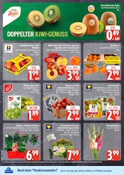 Blumen im EDEKA Prospekt in Kiel Aktueller EDEKA Prospekt mit Blumen, "Top Angebote", Seite 2