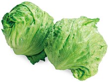 Eisbergsalat bei REWE in Wiesbaden Eisbergsalat im Angebot bei REWE Wiesbaden für 0,49 €