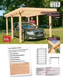 Carport 'LÄRCHE' bei BAUHAUS in Aachen Carport 'LÄRCHE' im Angebot bei BAUHAUS Aachen für 519,00 €
