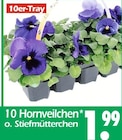 10 Hornveilchen o. Stiefmütterchen Angebote bei Wreesmann Görlitz für 1,99 €