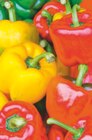 Paprika im Angebot bei toom Baumarkt in Delmenhorst Paprika Angebote bei toom Baumarkt Delmenhorst für 3,29 €