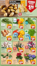 Gurken im REWE Prospekt Gurken im REWE Prospekt "Dein Markt" auf Seite 7