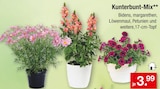 Kunterbunt-Mix im Angebot bei Zimmermann in Wilhelmshaven Kunterbunt-Mix Angebote bei Zimmermann Wilhelmshaven für 3,99 €