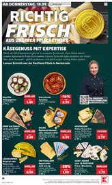 Chili im Kaufland Prospekt in Gelsenkirchen Aktueller Kaufland Prospekt mit Chili, "Hier bin ich richtig", Seite 37