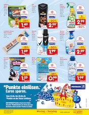 Dusche im Netto Marken-Discount Prospekt in Essen Aktueller Netto Marken-Discount Prospekt mit Dusche, "Aktuelle Angebote", Seite 41