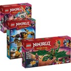 SUR TOUT - LEGO NINJAGO en promo chez Carrefour Fontenay-sous-Bois