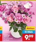 Aktuelles Lieblingsmensch Angebot bei Netto Marken-Discount in Nürnberg ab 9,99 €