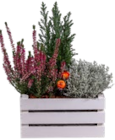 Holzgefäß Angebote bei Kaufland Bergisch Gladbach für 8,88 €