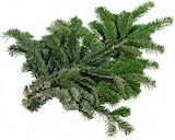 Nobilis- oder Nordmann-Handbund  im aktuellen OBI Prospekt für 2,79 €