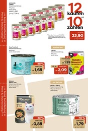 Aktueller Garten-Center Nordharz GmbH & Co. KG Prospekt mit Katzenfutter, "Wo Farben wachsen und Freude blüht!", Seite 12