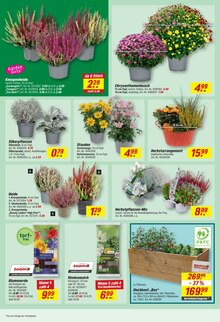 Gartenerde im aktuellen toom Baumarkt Prospekt (Hildesheim) Gartenerde im toom Baumarkt Prospekt "Respekt, wer's selber macht." mit 28 Seiten (Hildesheim)