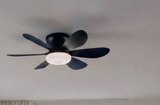 Aktuelle Deckenventilator Angebote bei toom Baumarkt in Dortmund Aktuelles Deckenleuchte mit Ventilator Lund Angebot bei toom Baumarkt in Dortmund ab 39,99 €