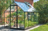 Gewächshaus "Qube 610" Angebote von Halls bei toom Baumarkt Baden-Baden für 299,99 €