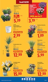 Orchidée Angebote im Prospekt "Vos produits du quotidien au meilleur prix, ça vaut le coup." von Lidl Orchidée Angebote im Prospekt "Vos produits du quotidien au meilleur prix, ça vaut le coup." von Lidl auf Seite 27