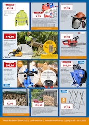 Aktueller PROFI Wesch Prospekt mit Motoröl, "Fachmarkt für Bauen, Heimwerken & Garten", Seite 6