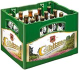 Aktuelles Pils Angebot bei REWE in Weißenfels ab 10,49 €