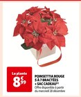 Poinsettia Rouge 5 à 7 bractées, + sac cadeau à 8,99 € dans le catalogue Auchan Supermarché