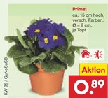 Aktuelles Primel Angebot bei Netto Marken-Discount in Nürnberg ab 0,89 €