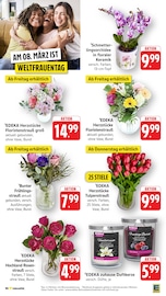 Kerzen im EDEKA Prospekt in Hanau Aktueller EDEKA Prospekt mit Kerzen, "Aktuelle Angebote", Seite 11