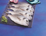 Daurade royale d'aquaculture en promo chez U Express Pau à 9,60 €