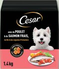Croquettes pour petit chien adulte au poulet et au saumon - Cesar en promo chez Netto Croquettes pour petit chien adulte au poulet et au saumon - Cesar dans le catalogue Netto