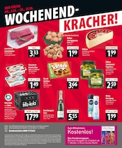 Lamm im famila Nordost Prospekt in Neumünster Aktueller famila Nordost Prospekt mit Lamm, "besser als gut!", Seite 24