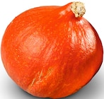 Penny Bischofferode - Deutscher Bio-Hokkaido-Kürbis Angebot im Prospekt Deutscher Bio-Hokkaido-Kürbis bei Penny im Bischofferode Prospekt für 1,29 €