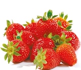 Netto mit dem Scottie Marienwerder - Erdbeeren Angebot im Prospekt Erdbeeren bei Netto mit dem Scottie im Marienwerder Prospekt für 1,69 €