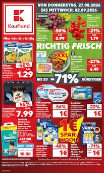 Batterie im Kaufland Prospekt "Hier bin ich richtig" mit 60 Seiten (Gelsenkirchen)