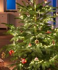 400er-LED-Lichterkette im Penny-Markt Prospekt 400er-LED-Lichterkette im aktuellen Penny-Markt Prospekt für 14,99 €