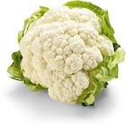 Blumenkohl von HEIMAT im aktuellen Netto Marken-Discount Prospekt für 1,29 €